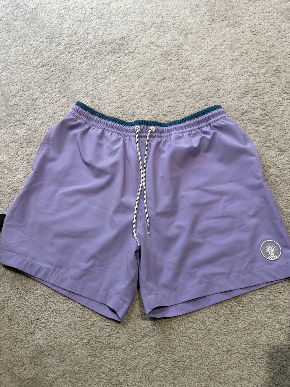 chubbies Lavender Athletic Shorts with Teal Trim